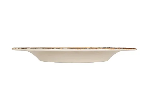 Porland Helia Düz Tabak 27cm                       - 3