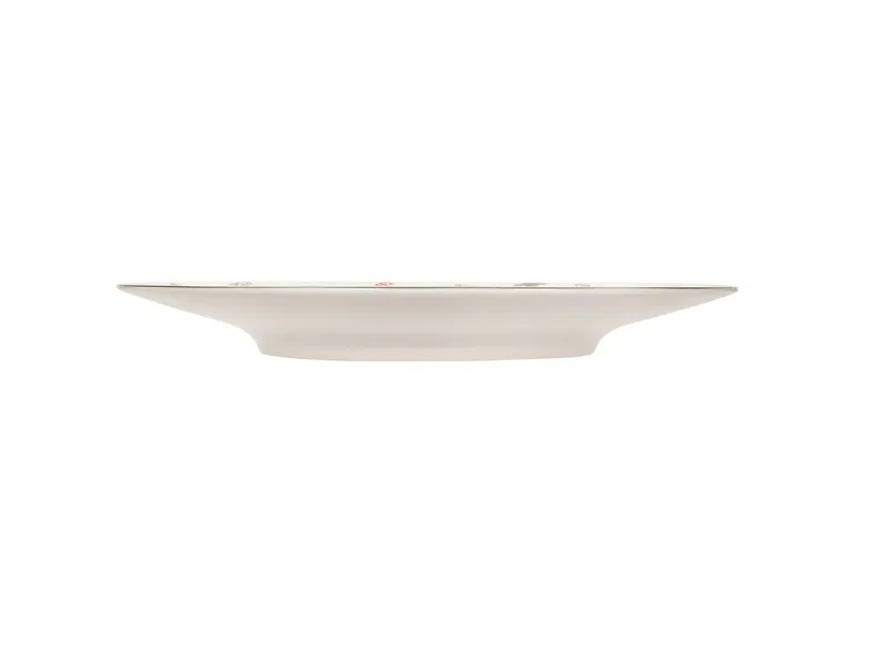 Ruby Ribbonia Düz Tabak 27cm - 3